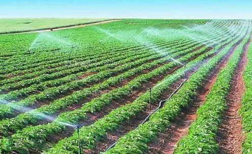 国产操操逼视频农田高 效节水灌溉